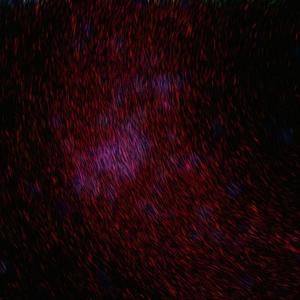 国产一区二区三区四区免费观看
